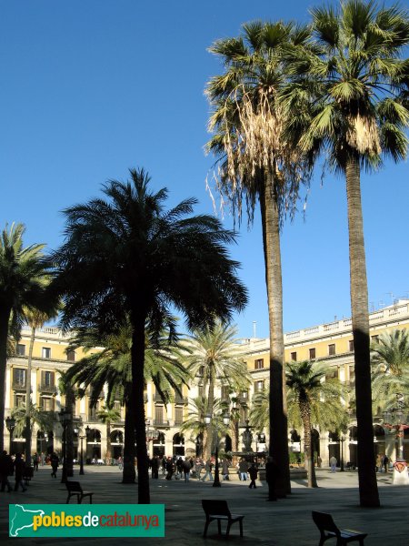 Barcelona - Plaça Reial (Foto: Albert Esteves, 2007) Barcelona - Plaça Reial
