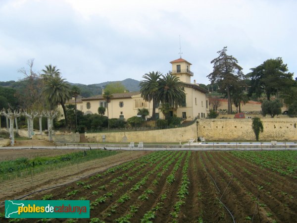 Alella - Can Jonc (Foto: Albert Esteves, 2007) Alella - Can Jonc