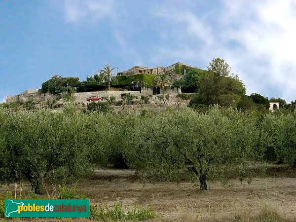 La Riera de Gaià - Virgili (Foto: Albert Esteves, 2007) La Riera de Gaià - Virgili