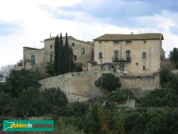 La Riera de Gaià - Virgili (Foto: Albert Esteves, 2008) La Riera de Gaià - Virgili