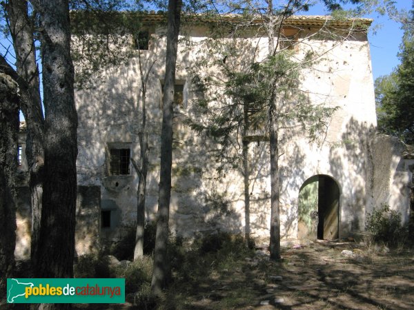 Salomó - La Polla-rossa (Foto: Albert Esteves, 2008) Salomó - La Polla-rossa