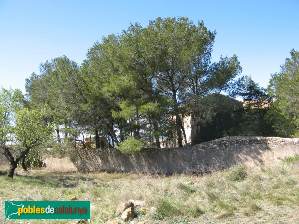 Salomó - La Polla-rossa (Foto: Albert Esteves, 2008) Salomó - La Polla-rossa