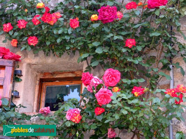 Lles - Poble de Músser. Cal Gras