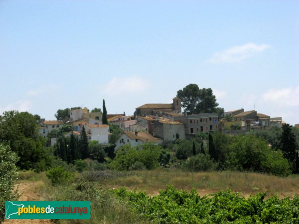 Renau (Foto: Albert Esteves, 2008) Renau