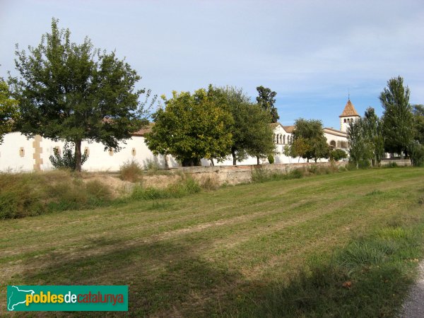 Vila-sana - Novella Alta (Foto: Albert Esteves, 2008) Vila-sana - Novella Alta