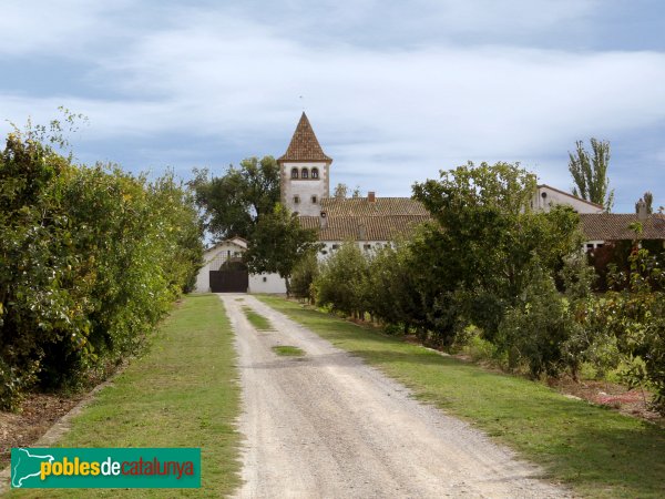 Vila-sana - Novella Alta (Foto: Albert Esteves, 2008) Vila-sana - Novella Alta