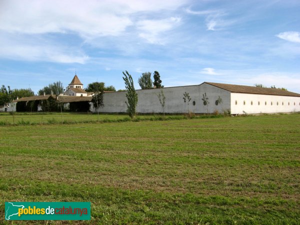 Vila-sana - Novella Alta (Foto: Albert Esteves, 2008) Vila-sana - Novella Alta