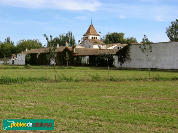 Vila-sana - Novella Alta (Foto: Albert Esteves, 2008) Vila-sana - Novella Alta