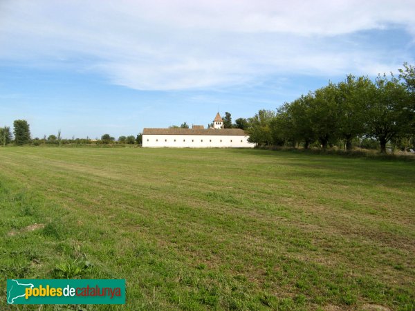 Vila-sana - Novella Alta (Foto: Albert Esteves, 2008) Vila-sana - Novella Alta