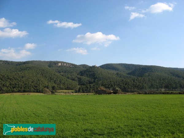 La Llacuna - Vista llunyana del recinte del castell