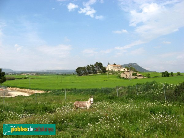 Òdena - Ca l'Oranies (Foto: Albert Esteves, 2009) Òdena - Ca l'Oranies