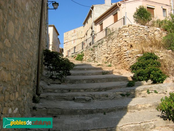 Ollers (Foto: Albert Esteves, 2009) Ollers