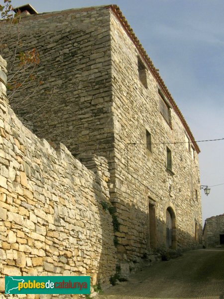 Savallà del Comtat, detall (Foto: Albert Esteves, 2009) Savallà del Comtat, detall