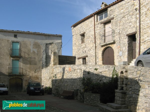 Savallà del Comtat, detall (Foto: Albert Esteves, 2009) Savallà del Comtat, detall