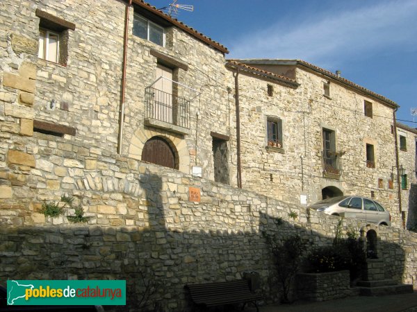 Savallà del Comtat, detall (Foto: Albert Esteves, 2009) Savallà del Comtat, detall