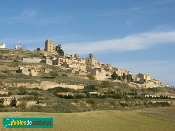 Savallà del Comtat (Foto: Albert Esteves, 2009) Savallà del Comtat