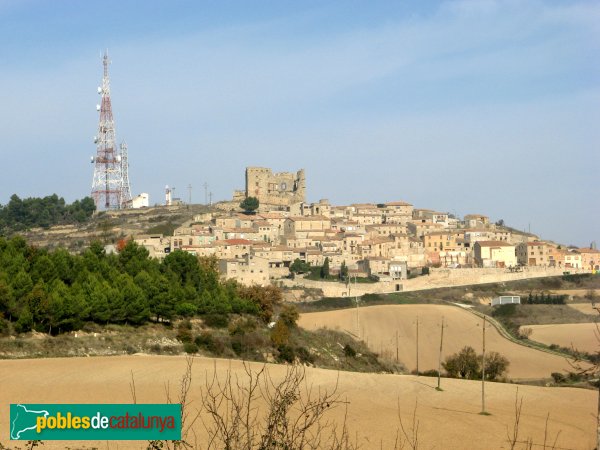 Savallà del Comtat (Foto: Albert Esteves, 2009) Savallà del Comtat