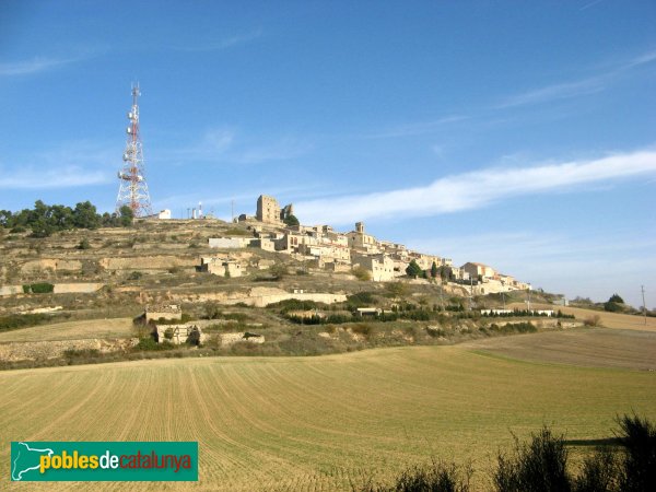 Savallà del Comtat (Foto: Albert Esteves, 2009) Savallà del Comtat