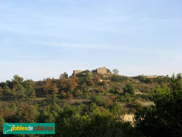 Conesa - Torlanda (Foto: Albert Esteves, 2009) Conesa - Torlanda