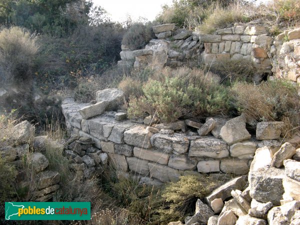 Conesa - Torlanda, restes del castell (Foto: Albert Esteves, 2009) Conesa - Torlanda, restes del castell