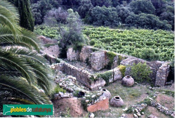 Tiana - Jaciment de Can Sentromà (Foto: Ajuntament de Tiana) Tiana - Jaciment de Can Sentromà