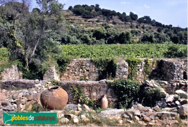 Tiana - Jaciment de Can Sentromà (Foto: Ajuntament de Tiana) Tiana - Jaciment de Can Sentromà