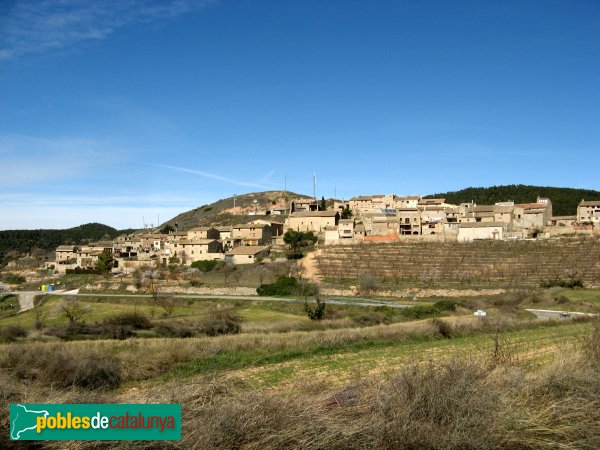 Senan - Panoràmica (Foto: Albert Esteves, 2010) Senan - Panoràmica