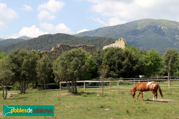 Riells i Viabrea - Torre d´en Pega (Foto: Albert Esteves, 2011) Riells i Viabrea - Torre d´en Pega