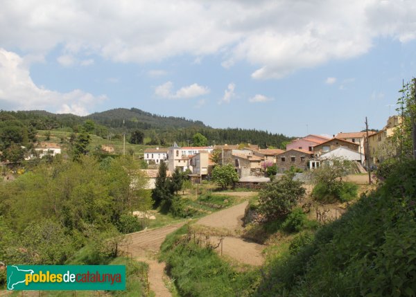 Arbúcies - Joanet (Foto: Albert Esteves, 2011) Arbúcies - Joanet