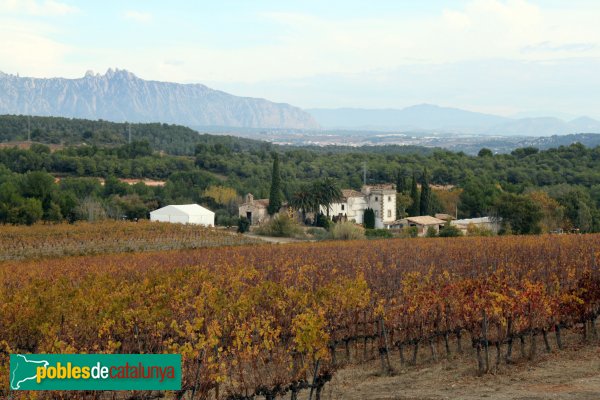 Mediona - Capella de Santa Margarida d'Agulladolç (Foto: Albert Esteves, 2013) Mediona - Capella de Santa Margarida d'Agulladolç