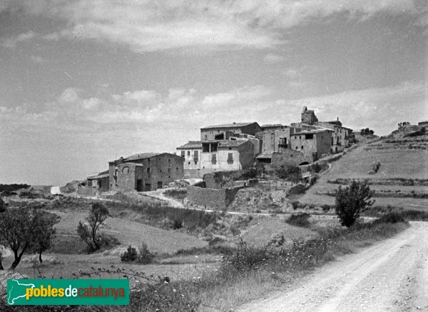 Montoliu - Cabestany (Foto: Francesc Blasi -Fons del C.E.C.-, c.1920-25) Montoliu - Cabestany