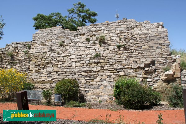 Granyena de Segarra - Castell (Foto: Albert Esteves, 2014) Granyena de Segarra - Castell