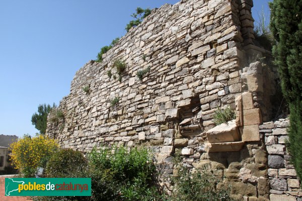 Granyena de Segarra - Castell (Foto: Albert Esteves, 2014) Granyena de Segarra - Castell