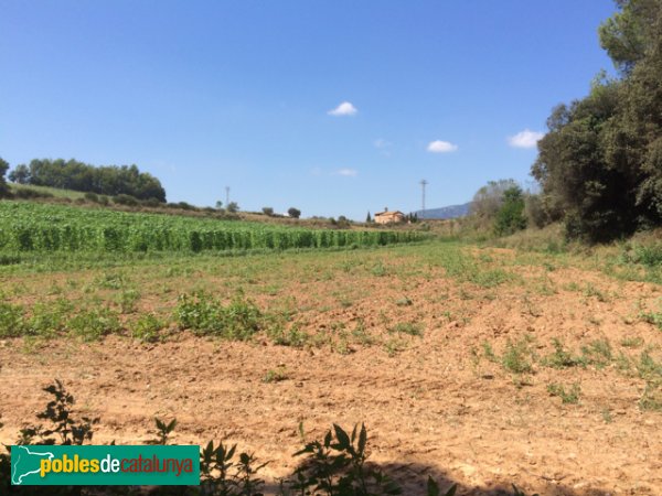 Sant Pere d'Ullastre i el seu entorn (Foto: Joan Sánchez Sabé, 2014) Sant Pere d'Ullastre i el seu entorn