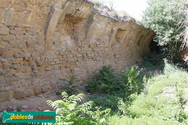 Guissona - Palau de Fluvià