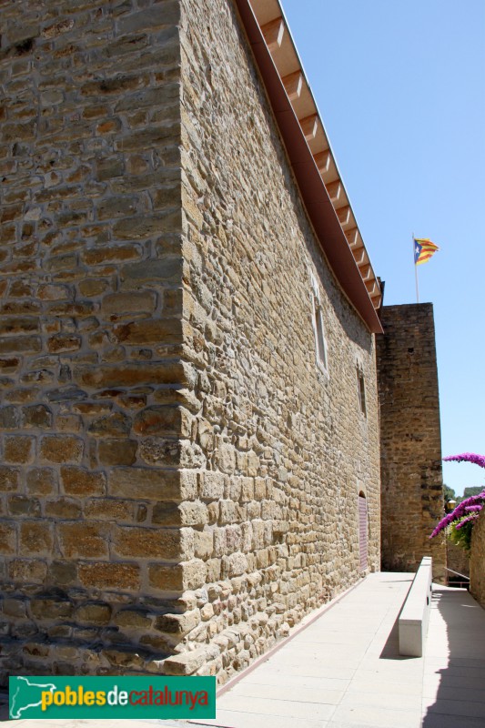 Vilopriu - Castell de Vilopriu