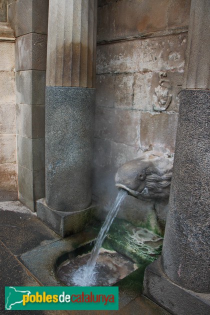 Brollador (Foto: Graciel·la Vidal, 2014) Brollador