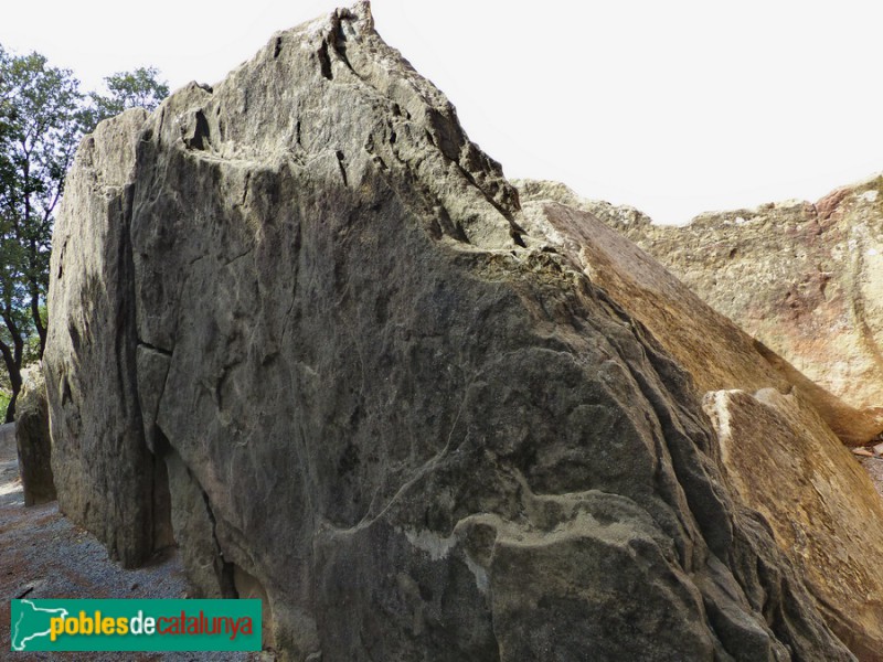 Folgueroles - Dolmen de Puigseslloses (Foto: Graciel·la Vidal, 2017) Folgueroles - Dolmen de Puigseslloses