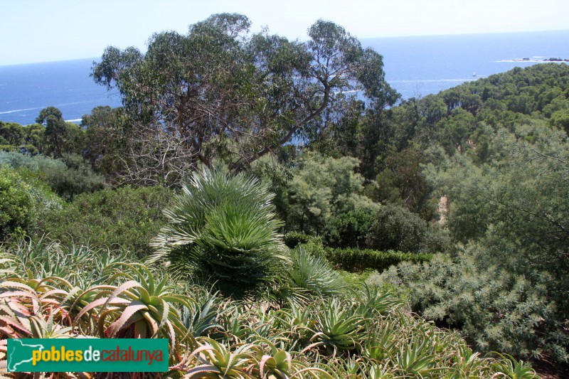 Palafrugell - Cap Roig, jardins (Foto: Albert Esteves, 2017) Palafrugell - Cap Roig, jardins