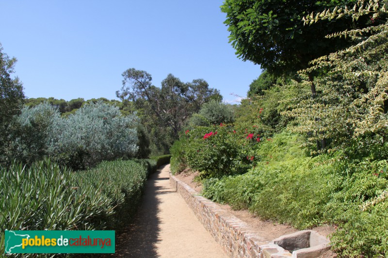 Palafrugell - Cap Roig, jardins (Foto: Albert Esteves, 2017) Palafrugell - Cap Roig, jardins