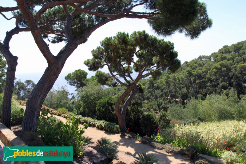 Palafrugell - Cap Roig, jardins (Foto: Albert Esteves, 2017) Palafrugell - Cap Roig, jardins
