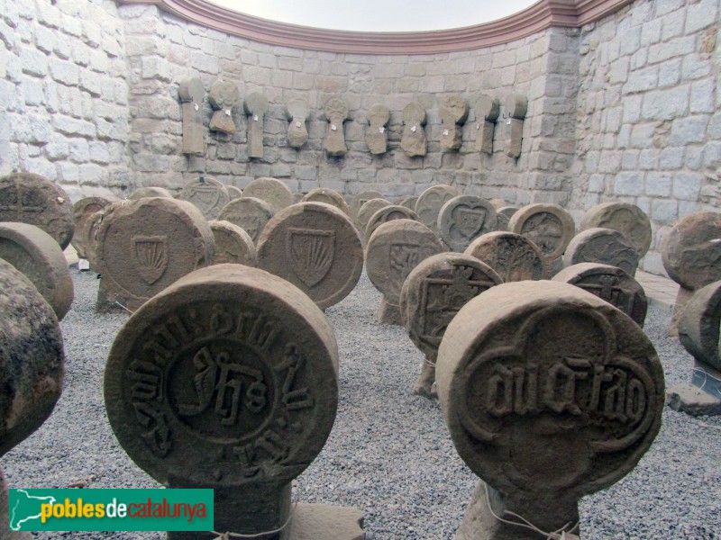 Sanaüja - Esteles dicoïdals