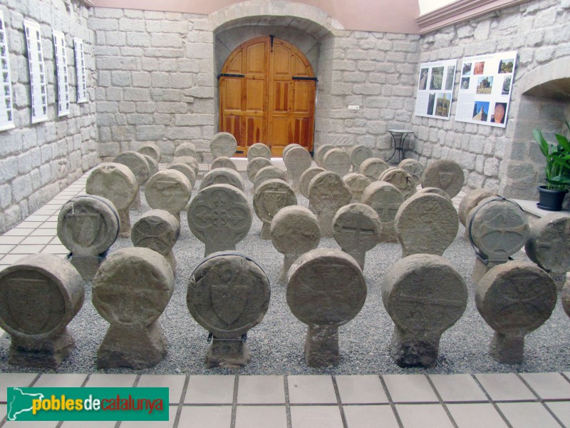 IMG_3264Sanaüja - Esteles dicoïdals