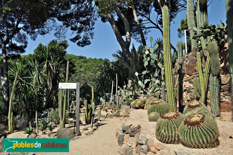 Palafrugell - Cap Roig, jardins (Foto: <i>Alberto González Rovira</i>, 2018) Palafrugell - Cap Roig, jardins