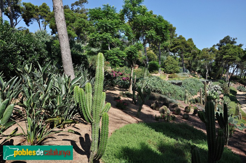 Palafrugell - Cap Roig, jardins (Foto: <i>Alberto González Rovira</i>, 2018) Palafrugell - Cap Roig, jardins