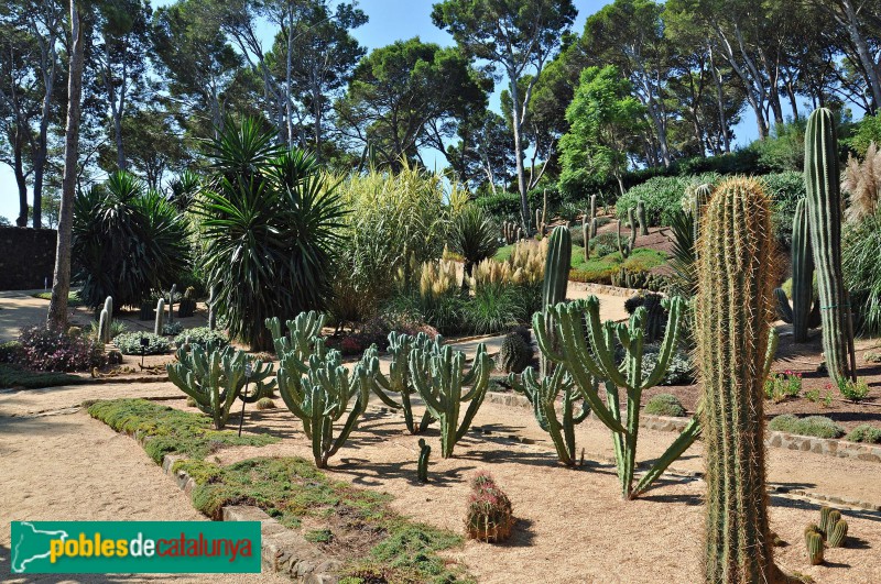 Palafrugell - Cap Roig, jardins (Foto: <i>Alberto González Rovira</i>, 2018) Palafrugell - Cap Roig, jardins