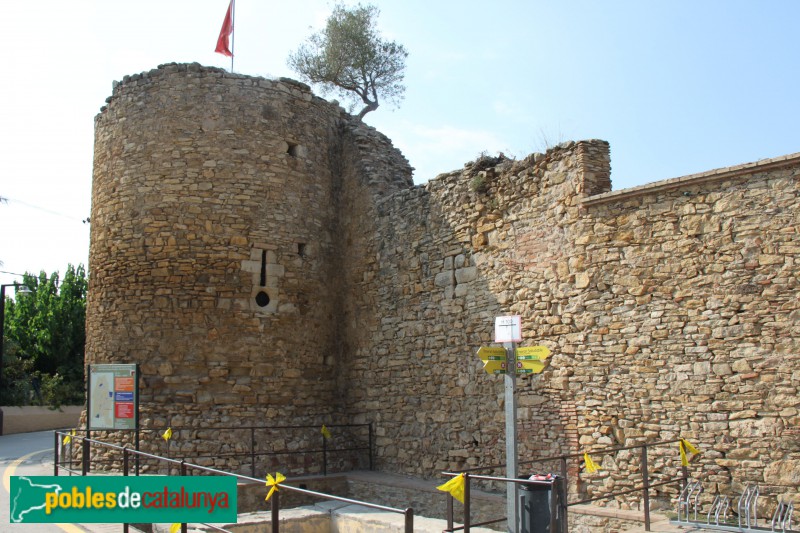 Palau-sator - Muralla, sector de ponent