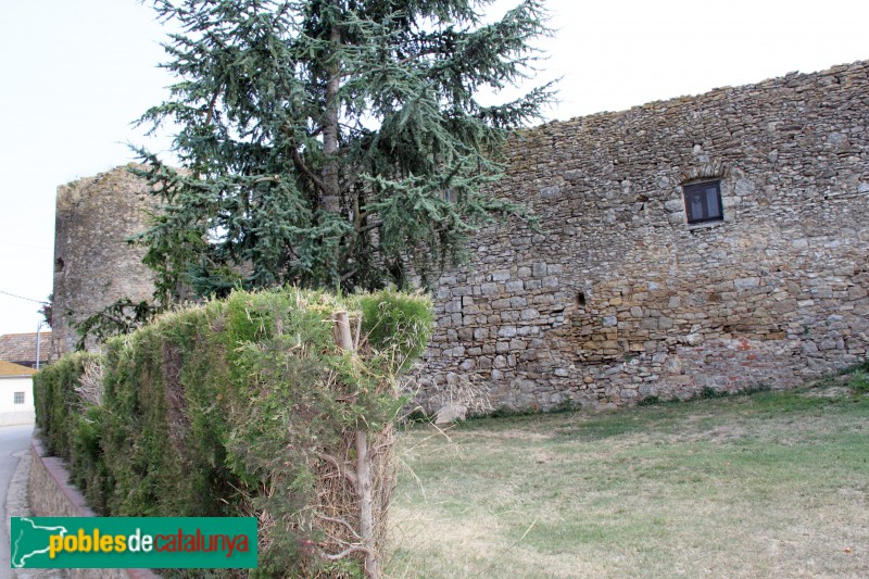 Palau-sator - Muralla