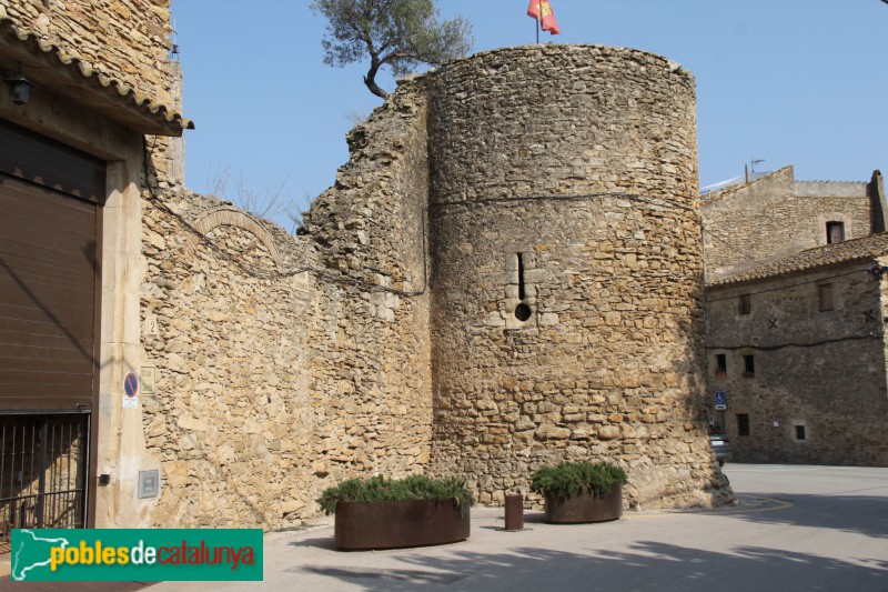 Palau-sator - Muralla, sector de ponent