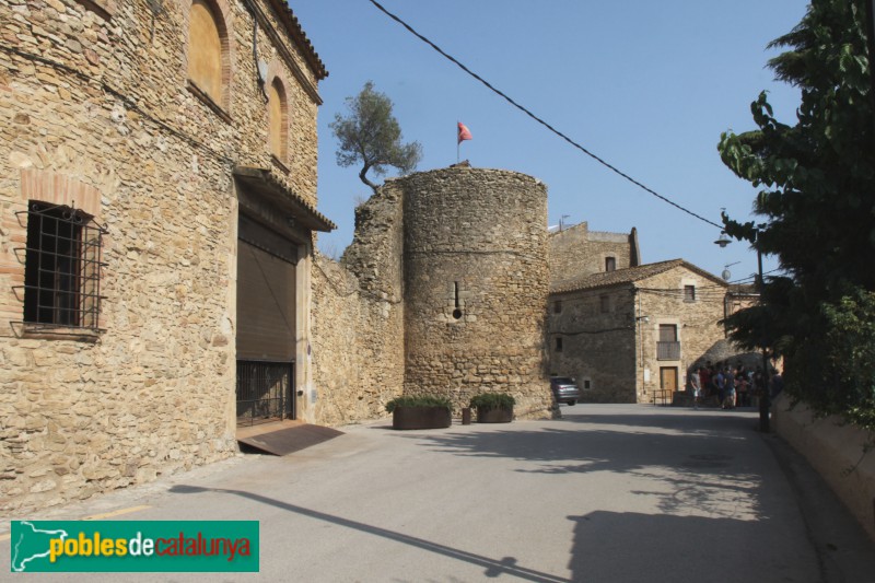 Palau-sator - Muralla, sector de ponent